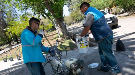 Los Andes | Con trabajos de bacheo y en el arbolado, arranca una nueva semana de servicios en Ciudad