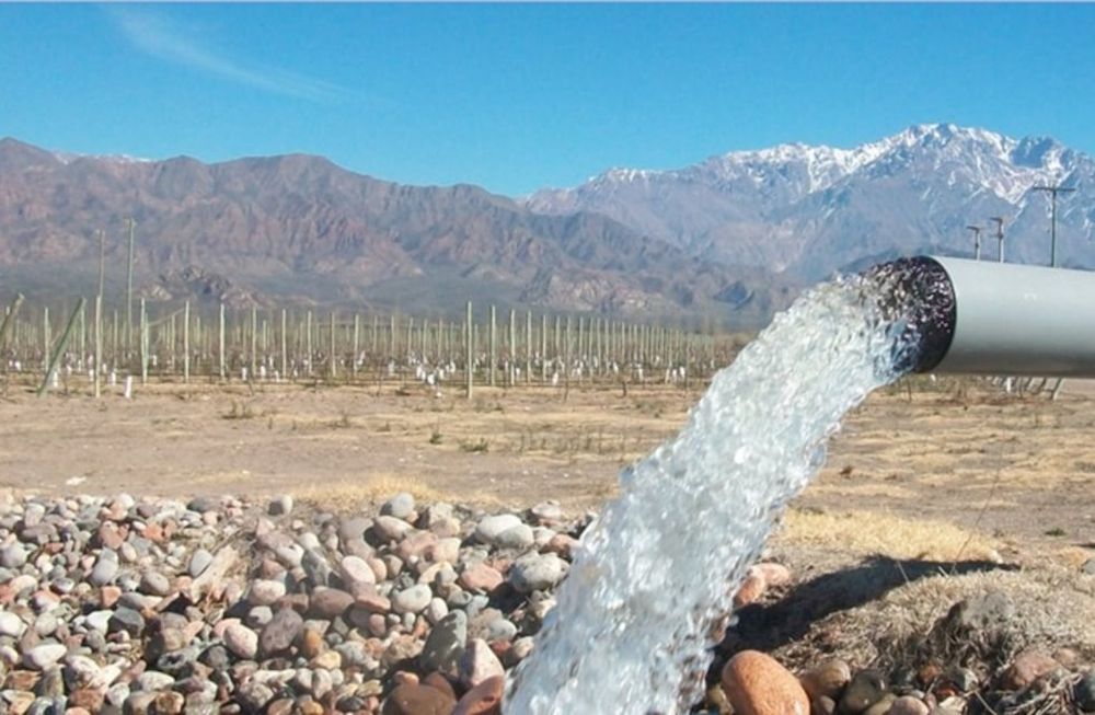 Mendoza debe realizar una reforma de la ley del agua y proponer de acá a diez años duplicar sus hectáreas irrigadas que hoy son cerca del 4% de la superficie total.