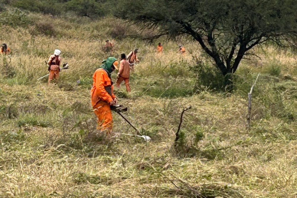 El Equipo Argentino de Antropología Forense (EAAF) identificó a 10 desaparecidos víctimas de la dictadura militar. 