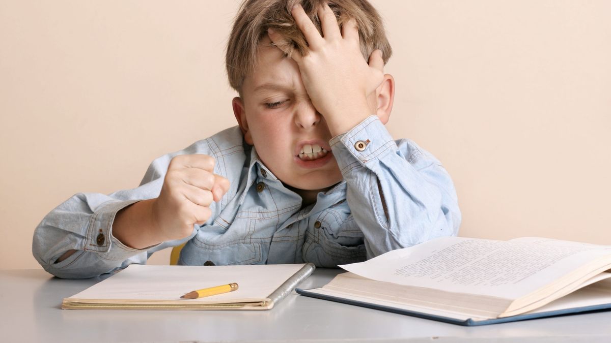 Los estudios muestran que los niños que aprenden a lidiar con frustraciones desde temprana edad desarrollan mayor inteligencia emocional en la vida adulta