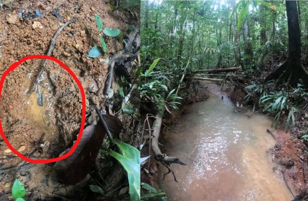 Encontraron “huellas frescas” que podrían ser de los cuatro niños desaparecidos en la selva colombiana tras estrellarse una avioneta.