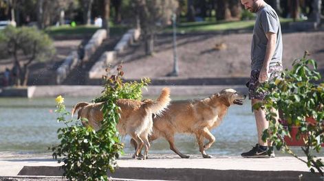 Se espera un miércoles agradable en Mendoza. Foto: José Gutiérrez / Los Andes