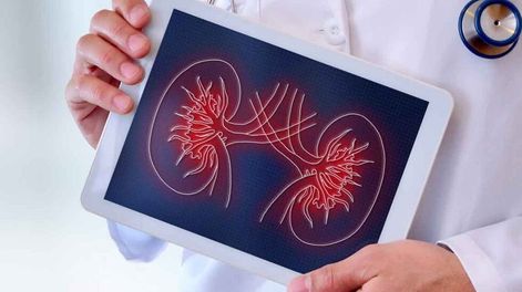 Los Andes | HYBJZEJQOBG5RCRPQ7CMGI4OQI.jpg?quality=75&smart=true&auth=6135c73f953a1404d136a7788ab6ed0555de012f7cd8035a9ef93a9cdf070cc4&width=980&height=640