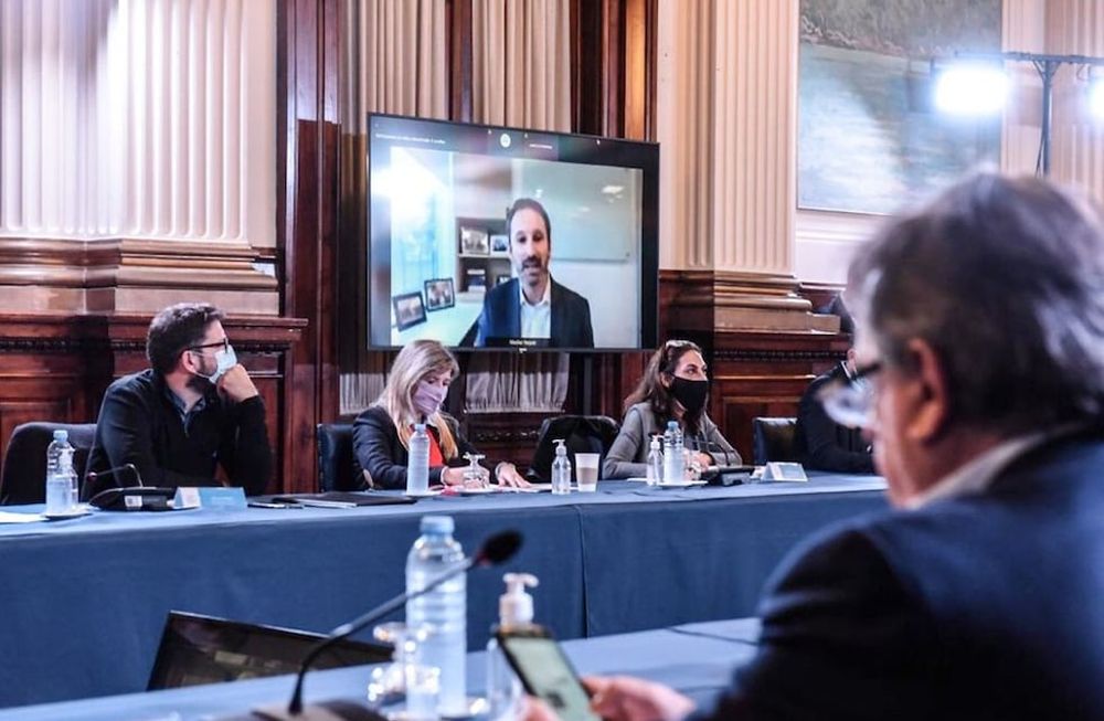 Nicolás Vaquer, del laboratorio Pfizer, despejó dudas sobre la negociación con el Gobierno ante los diputados.