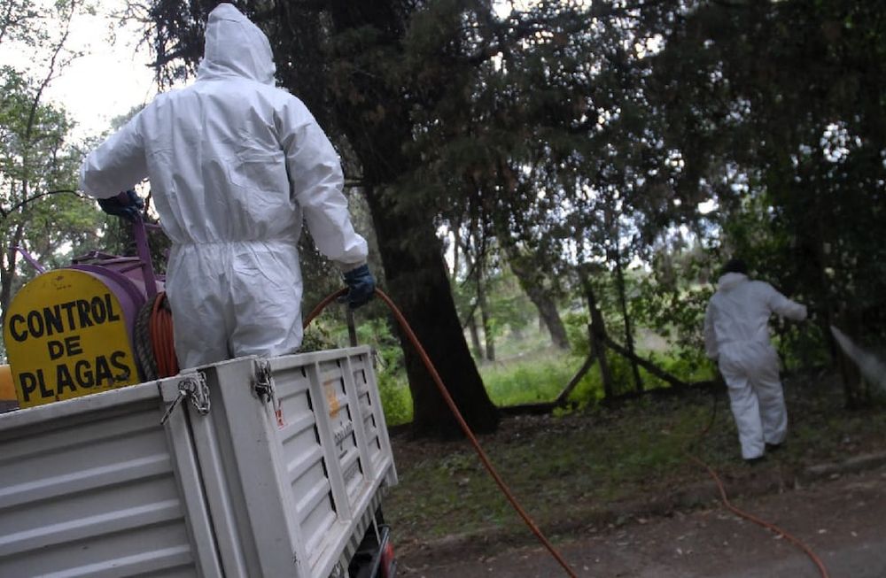 Dengue: los especialistas advierten que por si sola la fumigación no es la solución y que los resultados se obtienen con su uso como estrategia complementaria de otras, entre las cuales cumple un rol sustancial el trabajo de descacharreo y limpieza para evitar que queden criaderos del mosquito. Fumigación por dengue en Mendoza