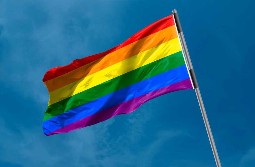 Historias de militancia vía zoom por el día del activismo por la Diversidad Sexual