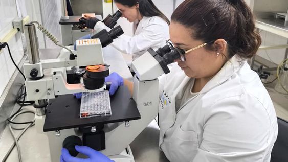 Investigadores del CONICET