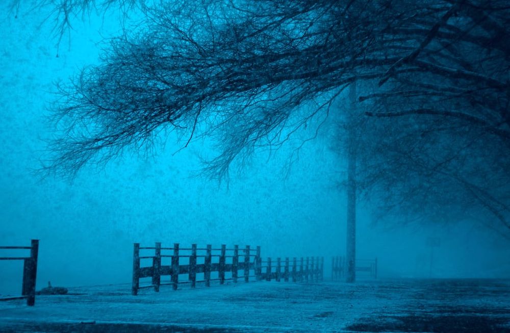 Los números que le traerán suerte hoy - Géminis