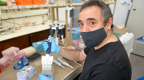 El ingeniero agrónomo Sebastián Gómez Talquenca, especialista en virología, trabaja en el laboratorio del INTA. Foto : Orlando Pelichotti / Los Andes
