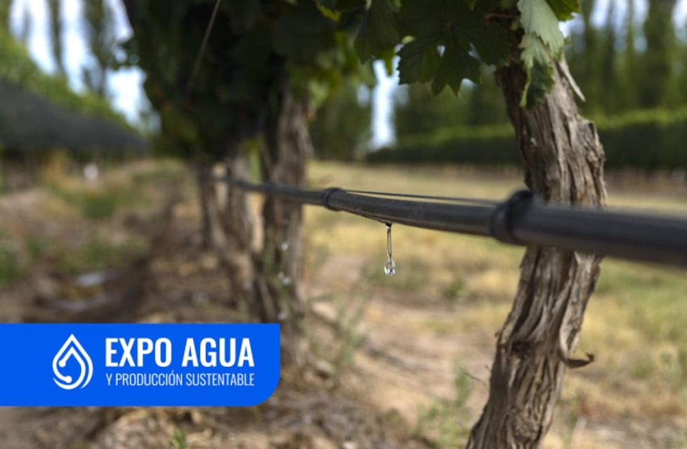 Expo Agua 2024 Irrigación