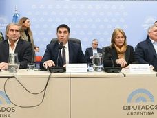 El libertario mendocino Facundo Correa Llano presidió el plenario junto con la secretaria de Energía, María Tettamanti &nbsp;