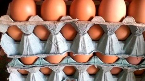 Maple de huevos, el truco definitivo para ahuyentar a los mosquitos: ¿cómo se usa?