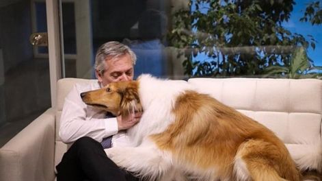 Alberto Fernández con su perro Dylan.