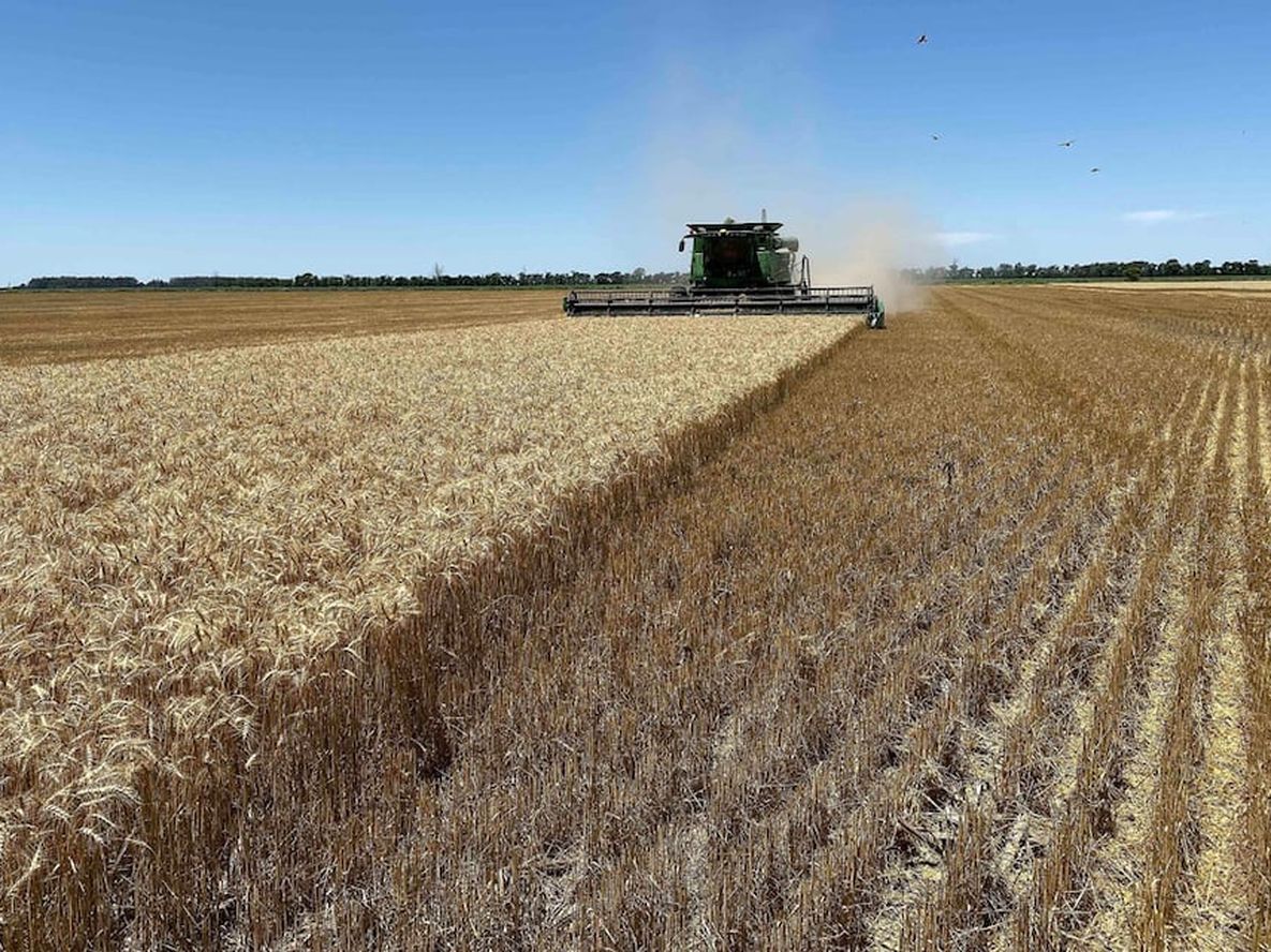 Los argentinos, que vivimos en un país bendecido por sus recursos naturales, por su clima, su extensión y hasta por su ubicación, hemos vivido, sin embargo, de crisis en crisis.