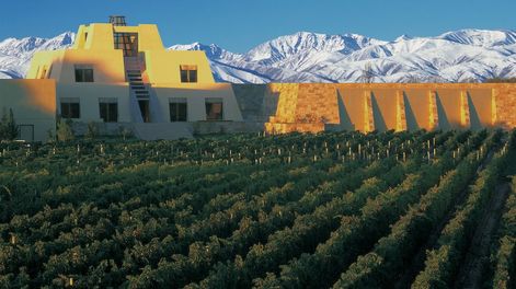 El CEO de Catena Zapata dejó su puesto después de 20 años en la compañia, mientras que en Peñaflor se fue Francisco do Pico.