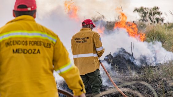 Brigadistas del Plan Provincial de Manejo del Fuego. Mendoza.&nbsp;