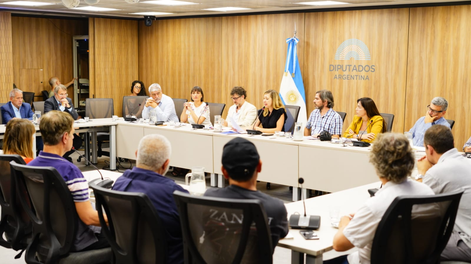 En la Cámara de Diputados se realizó una Audiencia Internacional contra la reforma laboral.