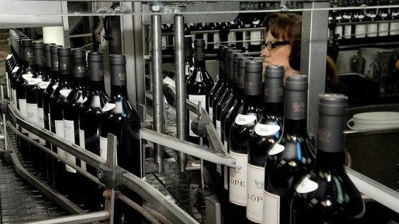 Mendoza 13 de octubre de 2016  Bodega Lopez FraccionamientoFoto: Daniel Caballero / Los Andes