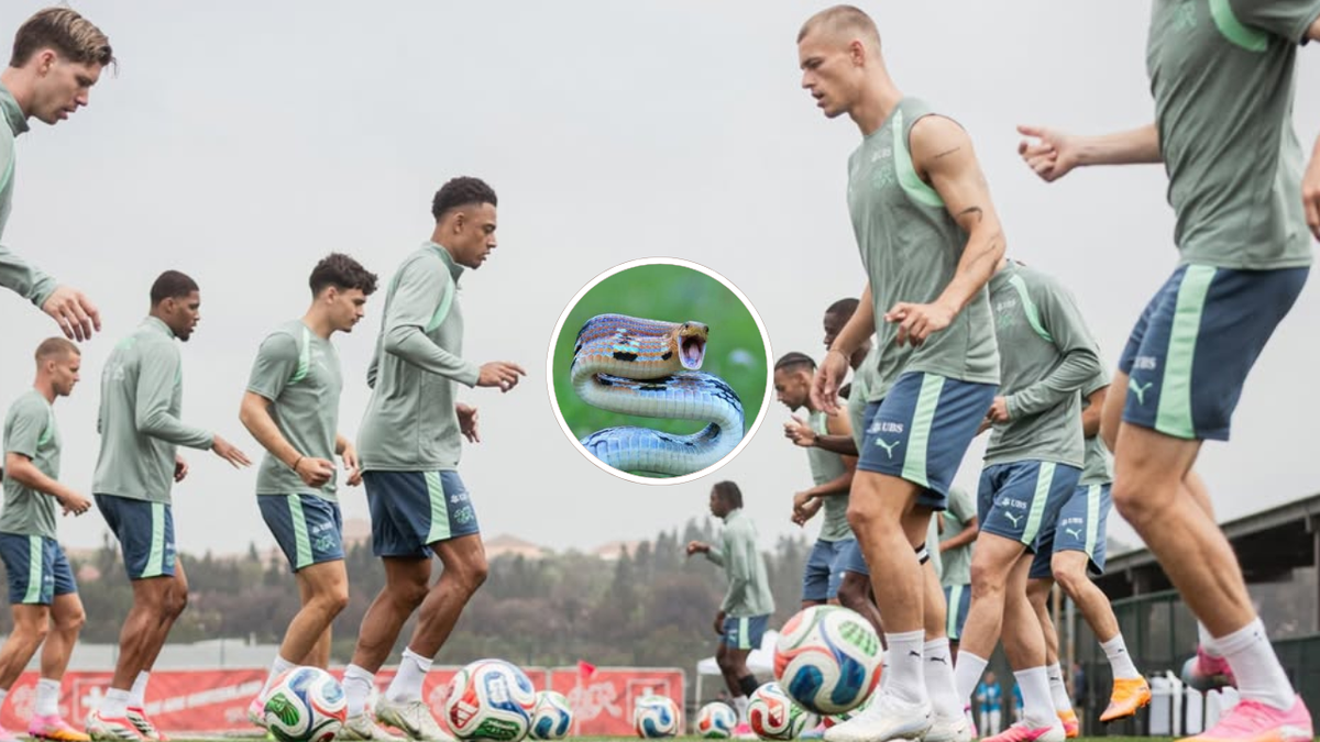 Alerta roja en el Mundial 2026: la selección de Su