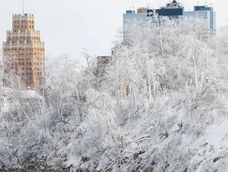 Histórica tormenta invernal azota a Estados Unidos: casi 100 mil hogares sin electricidad y miles de vuelos cancelados