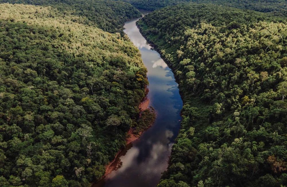 Mucho más para ofrecer que las increíbles Cataratas: brinda un recorrido para deslumbrarse con el trópico argentino. (Gentileza:  La Ruta Natural)