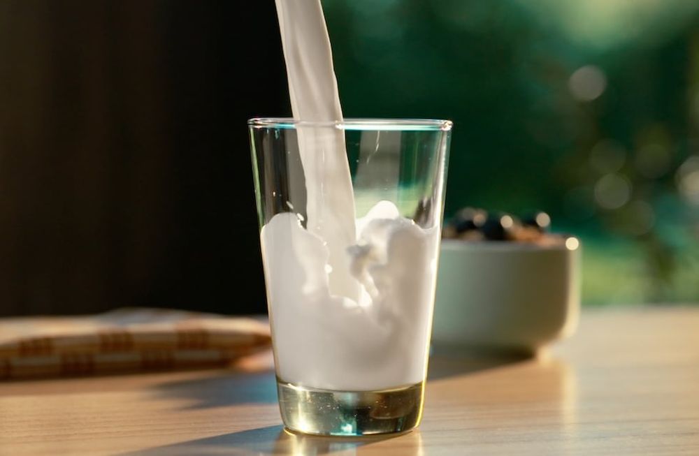La importancia del consumo de Leche Fresca para una vida saludable. Gentileza La Serenísima.
