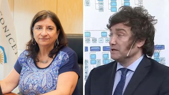 La directora del Conicet le respondió a Milei tras su propuesta de privatizar el organismo.
