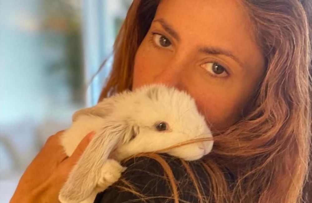 Shakira y un tierno video en el que declara su amor por los conejos