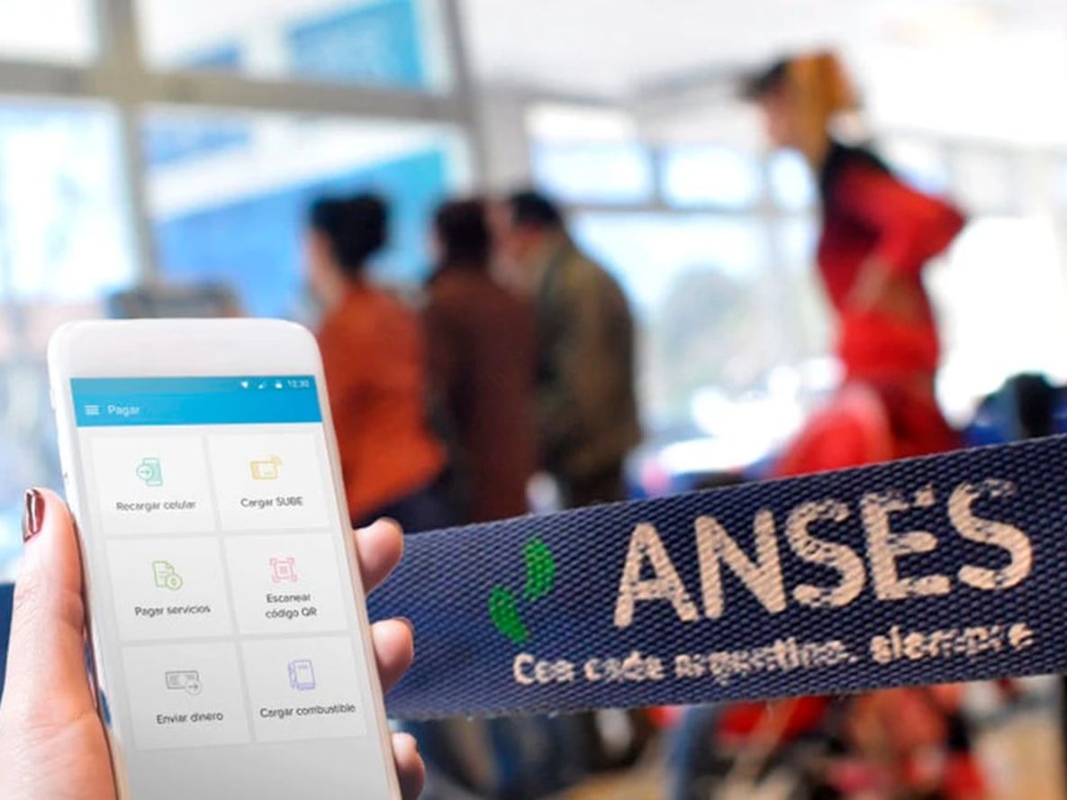 Este beneficio es para acompañar a las personas con discapacidad que se encuentren en situación de vulnerabilidad social.