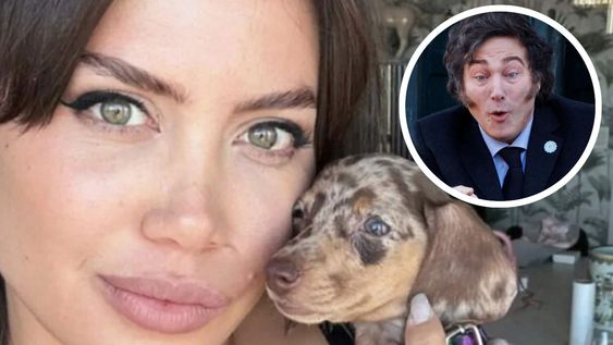El pedido de Wanda Nara a Javier Milei sobre los perritos.&nbsp;