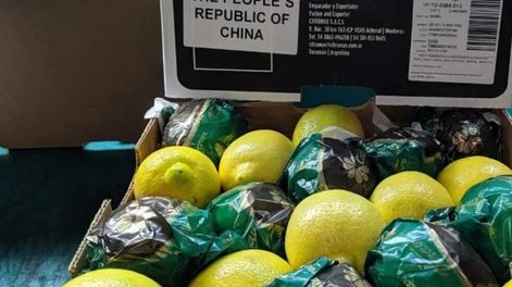 Después de negociar por dos décadas, Tucumán exporta limones a China