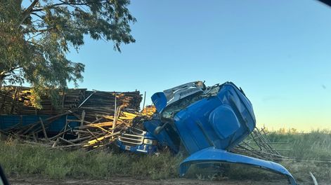 Los Andes | camion 1