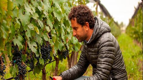 Los Andes | Esto lo convierte en el productor de vinos orgánicos más importante del país, con la proyección hacia 2025 de multiplicar esta superficie.