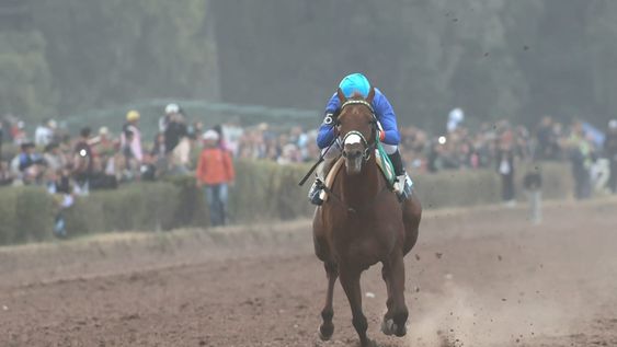 Turf: Endo Verde respondió en la pista y ganó el Clásico Santo Patrono 2026.&nbsp;