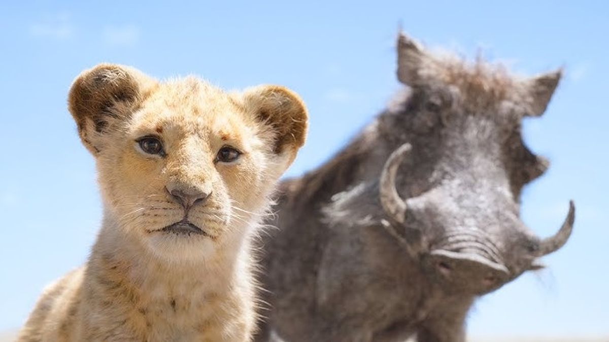 Qué significa Hakuna Matata, la expresión africana que se hizo famosa en la película El Rey León