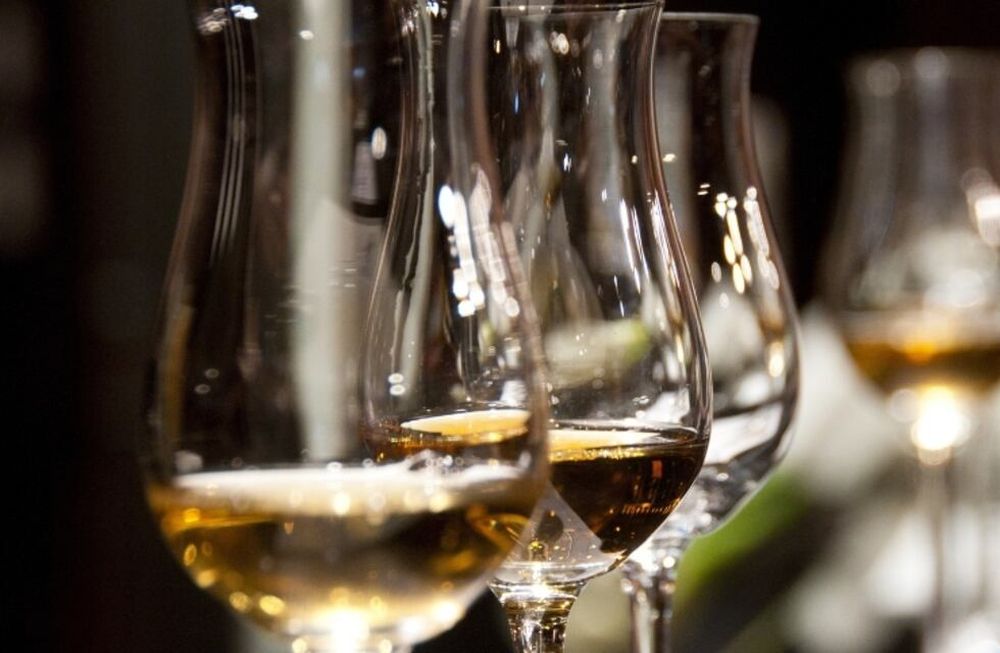 El 25 te esperamos para aprender más sobre vinos: ¡reservá tu lugar!