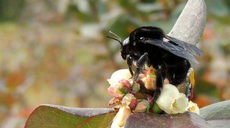 Los Andes | NLHSMXQZ5NGJXLZT6YQPH5QZFE.jpg?quality=75&smart=true&auth=3ebddf5df10b6037a865487a0a701083125dcfc97d6b2b7210387461ed340d39&width=980&height=640