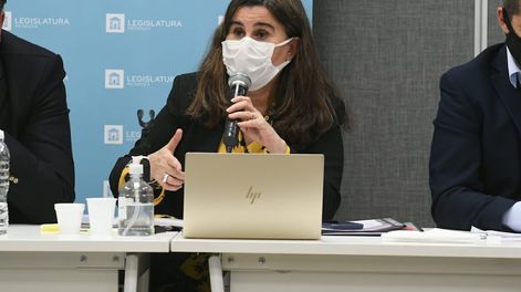 Los Andes | La ministra de Salud de Mendoza, Ana María Nadal, explica en la Legislatura la demora en la carga de muertos por Covid-19. Foto: José Gutiérrez / Los Andes
