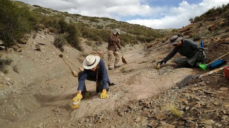 Los Andes | Dinosaurios en Mendoza: 9 especies que habitaron en Mendoza y cómo es el “Jurassic Park mendocino”. Foto; Gentileza María Belén Tomaselli