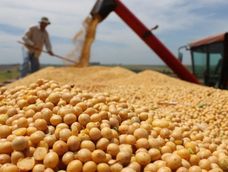 El semáforo registró 9 actividades en rojo y reflejó un deterioro respecto a enero. El semáforo registró 9 actividades en rojo y reflejó un deterioro respecto a enero.