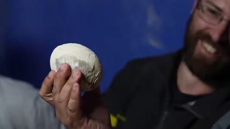 Científicos del Conicet hallaron un huevo de dinosaurio carnívoro en gran estado de preservación