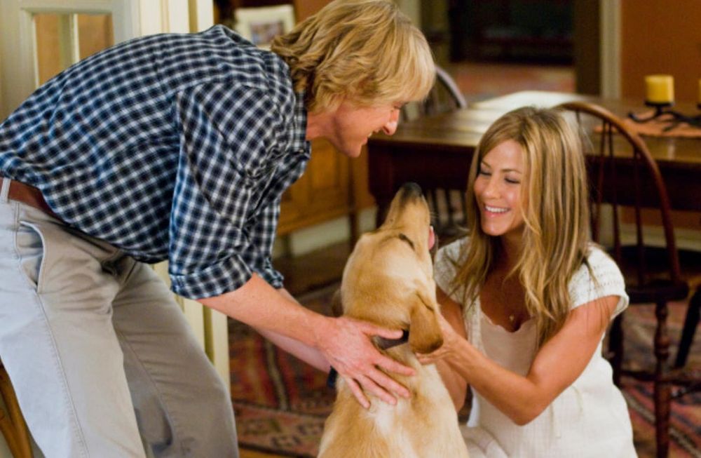 Estos son los animales que se convirtieron en estrellas de cine y enamoraron a todos