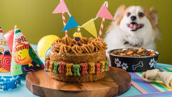 La gastronomía para animales está en auge y ofrece opciones saludables para los reyes del hogar.
