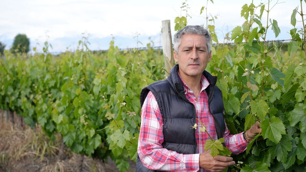 Carlos Dávila asume como presidente de la Cámara de Comercio de Tunuyán y busca expandir la matriz productiva