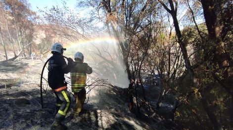 Incendios en el Salto. Vecinos y bomberos combaten las llamas en la localidad de montaña.