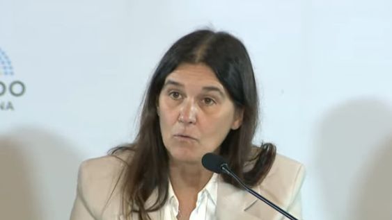 La ministra de la Suprema Corte de Justicia local, María Teresa Day. Foto: Captura Canal Senado Argentina