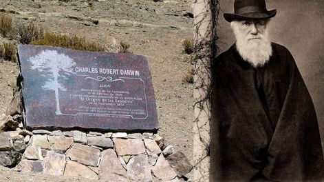 Los Andes | En Los Paramillos de Uspallata se erige el manumento al paso de Darwin por Mendoza y su valioso aporte.