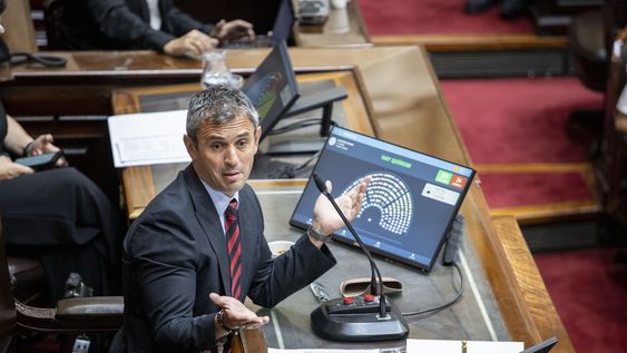 El oficialismo busca acelerar la discusión del DNU y citó la bicameral del CongresoLa Cámara de Diputados aprobó esta tarde el proyecto oficial de reforma electoral que incluye la suspensión de las PASO para el corriente año, por lo que la iniciativa deberá ser debatida ahora en las sesiones extraordinarias del Senado.