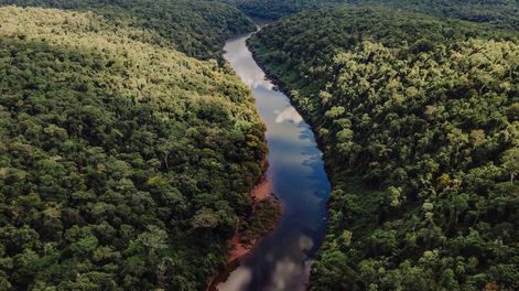 Los Andes | Mucho más para ofrecer que las increíbles Cataratas: brinda un recorrido para deslumbrarse con el trópico argentino. (Gentileza:  La Ruta Natural)