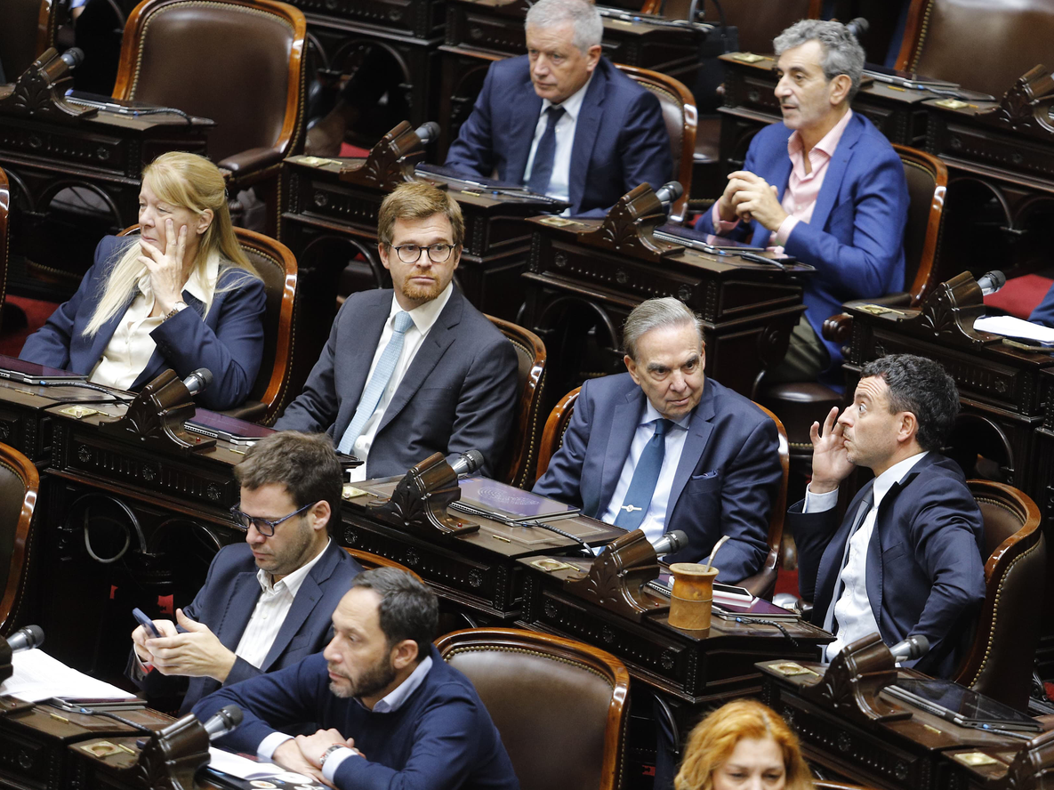 La Cámara de Diputados sesionó desde las 12.20 para debatir la creación de una comisión investigadora por el escándalo del criptogate | FOTO: DANIEL VIDEL/NA